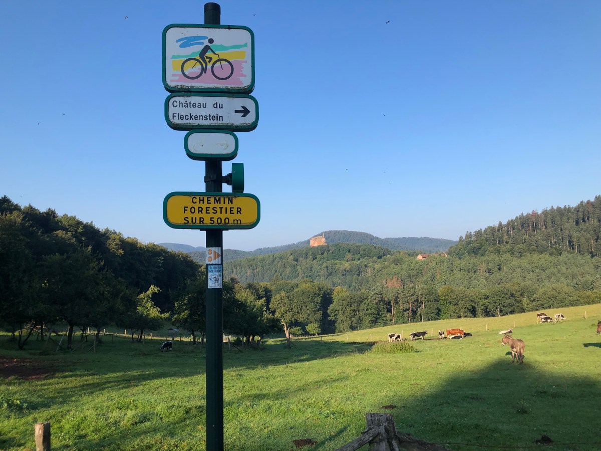 Vogesen gehen eigentlich immer – ein Vorurlaub mit einem Hauch&nbsp;Italien