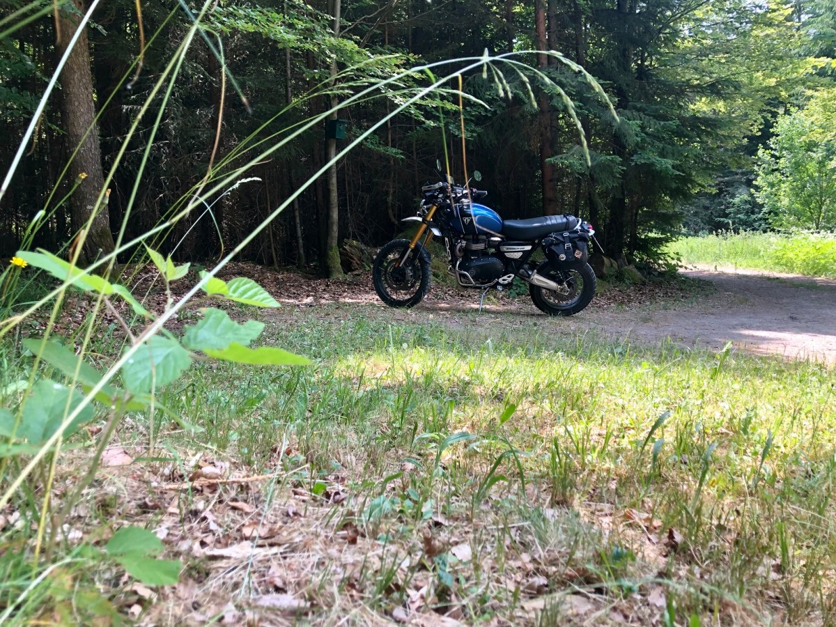 Taralli – Zum Einkaufen durch die Vogesen&nbsp;pesen