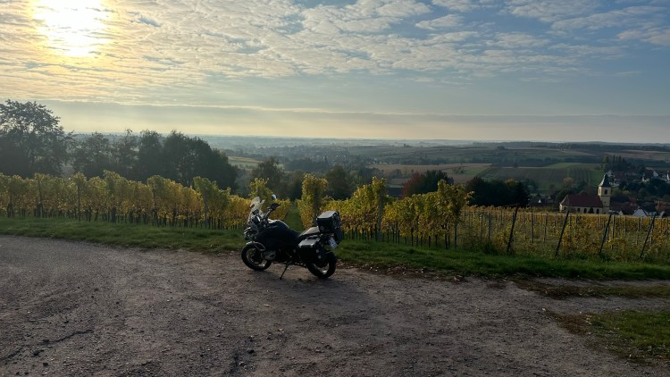 Ich glaub, ich bin im Wald – Routes Forestières der&nbsp;Vogesen