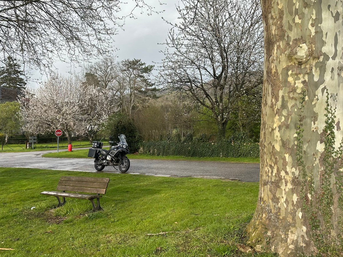 Bank, Baum, Strasse – Bis zum&nbsp;Meer